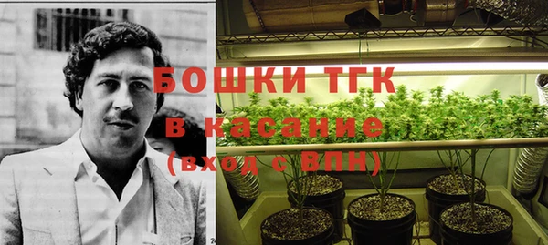 меф Новодвинск
