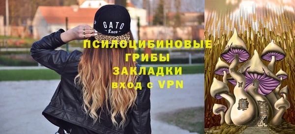 а пвп мука Алзамай
