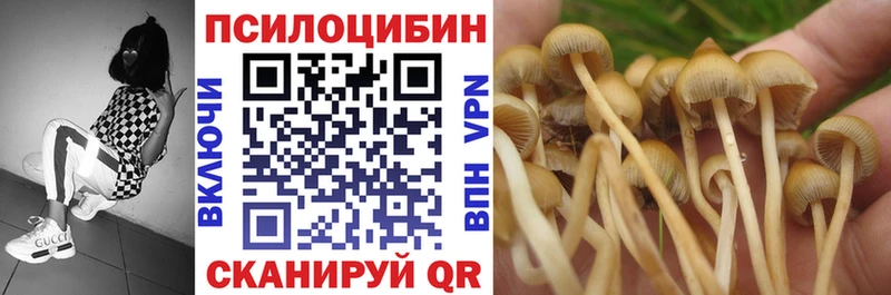 купить закладку  Алушта  Галлюциногенные грибы ЛСД 